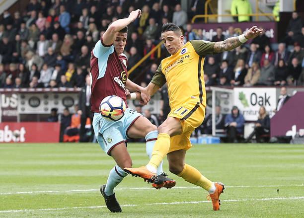 或將成為他 或將成為他